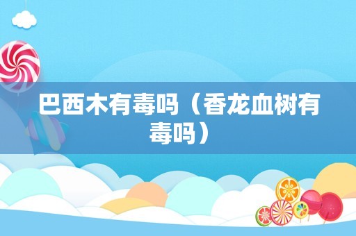 巴西木有毒吗（香龙血树有毒吗）