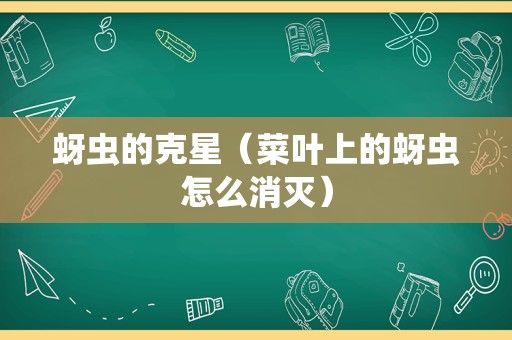 蚜虫的克星（菜叶上的蚜虫怎么消灭）