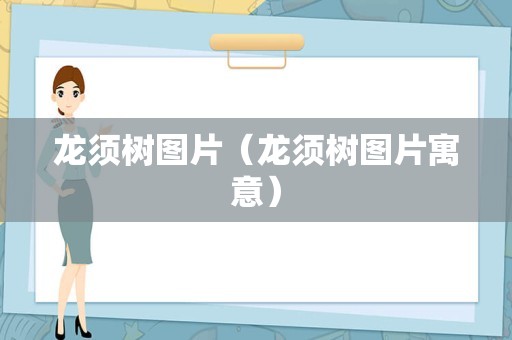 龙须树图片（龙须树图片寓意）