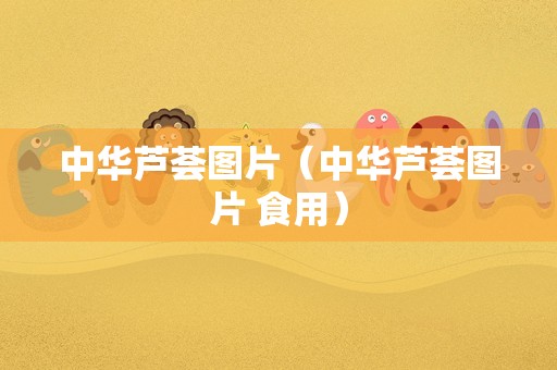 中华芦荟图片（中华芦荟图片 食用）