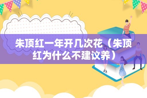 朱顶红一年开几次花（朱顶红为什么不建议养）