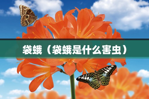 袋蛾（袋蛾是什么害虫）