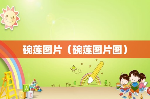 碗莲图片（碗莲图片图）