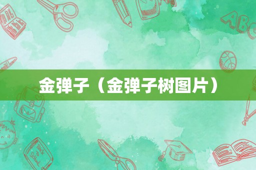 金弹子（金弹子树图片）