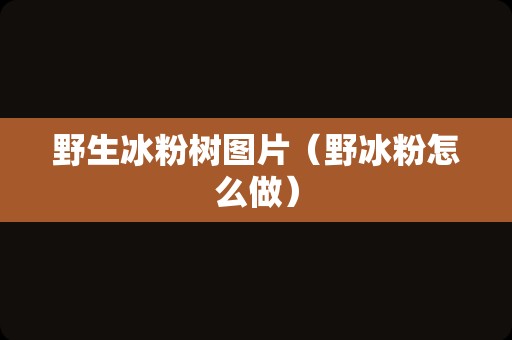野生冰粉树图片（野冰粉怎么做）