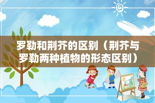 罗勒和荆芥的区别（荆芥与罗勒两种植物的形态区别）