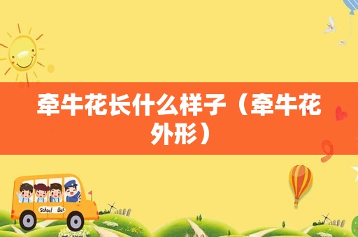 牵牛花长什么样子（牵牛花外形）