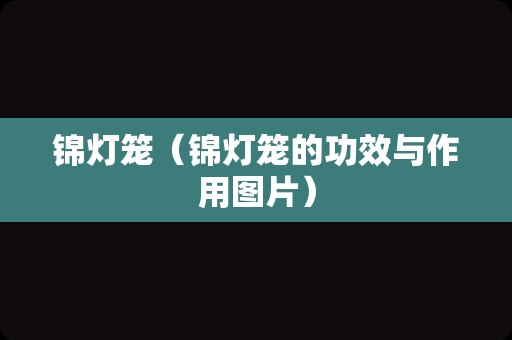 锦灯笼（锦灯笼的功效与作用图片）