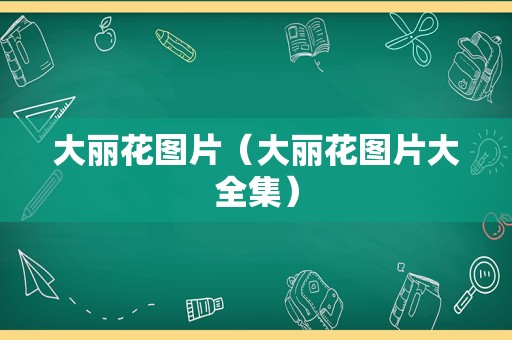 大丽花图片（大丽花图片大全集）