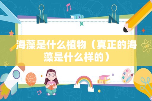 海藻是什么植物（真正的海藻是什么样的）