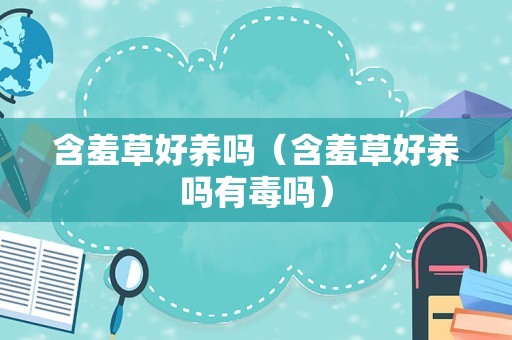 含羞草好养吗（含羞草好养吗有毒吗）