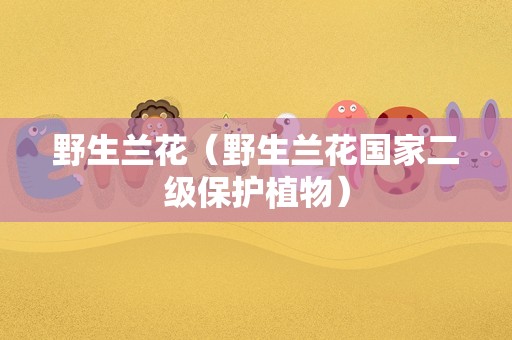 野生兰花（野生兰花国家二级保护植物）