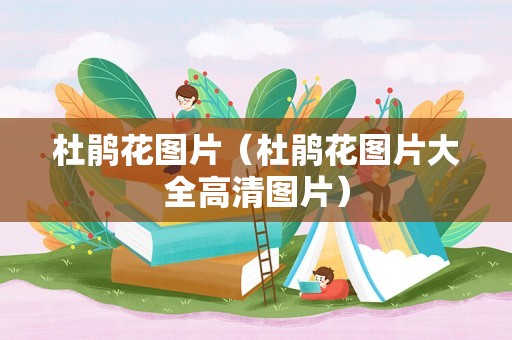 杜鹃花图片（杜鹃花图片大全高清图片）