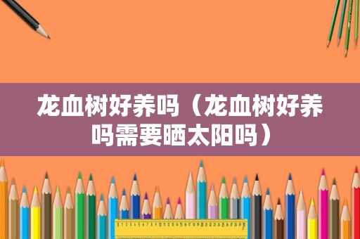 龙血树好养吗（龙血树好养吗需要晒太阳吗）