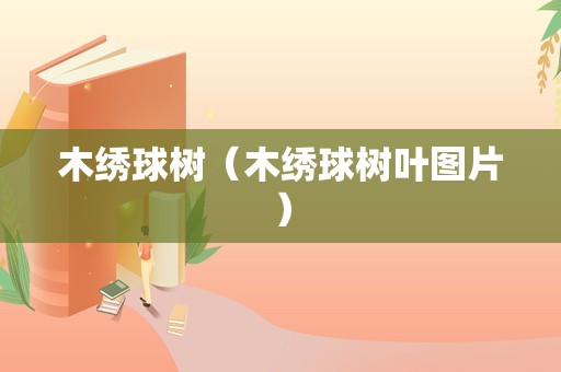 木绣球树（木绣球树叶图片）