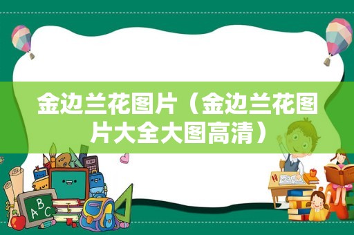 金边兰花图片（金边兰花图片大全大图高清）
