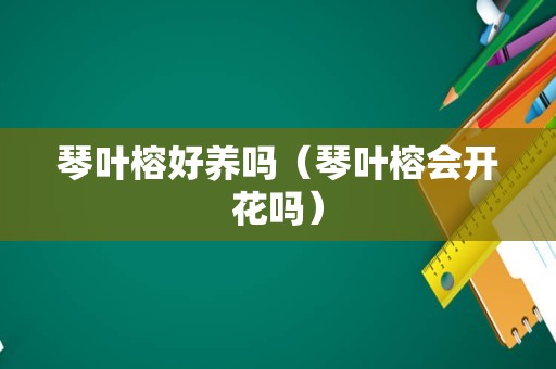 琴叶榕好养吗（琴叶榕会开花吗）