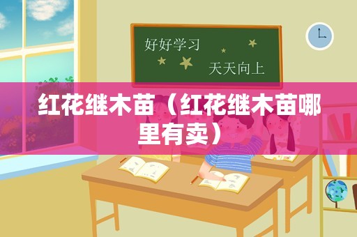 红花继木苗（红花继木苗哪里有卖）