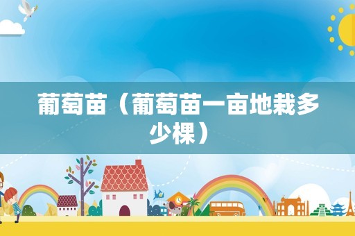 葡萄苗（葡萄苗一亩地栽多少棵）