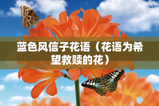 蓝色风信子花语（花语为希望救赎的花）