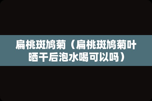 扁桃斑鸠菊（扁桃斑鸠菊叶晒干后泡水喝可以吗）
