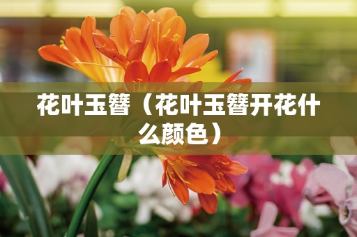 花叶玉簪（花叶玉簪开花什么颜色）