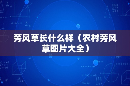 旁风草长什么样（农村旁风草图片大全）