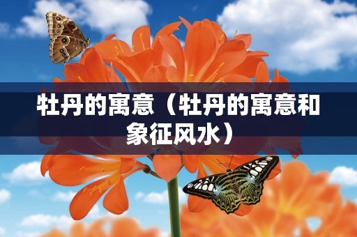 牡丹的寓意（牡丹的寓意和象征风水）