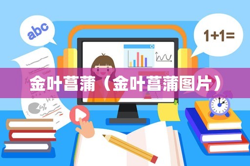 金叶菖蒲（金叶菖蒲图片）