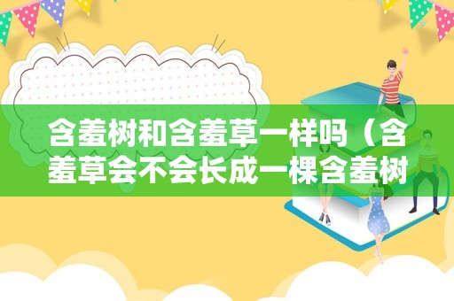含羞树和含羞草一样吗（含羞草会不会长成一棵含羞树）