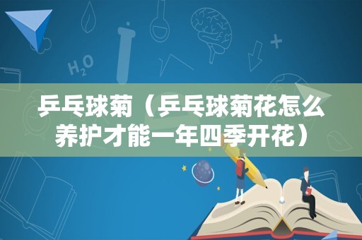 乒乓球菊（乒乓球菊花怎么养护才能一年四季开花）