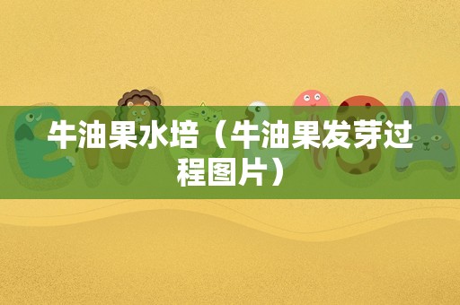 牛油果水培（牛油果发芽过程图片）