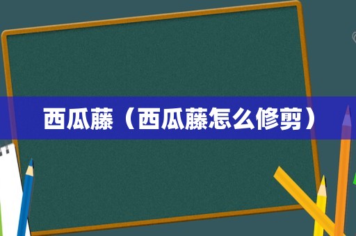 西瓜藤（西瓜藤怎么修剪）
