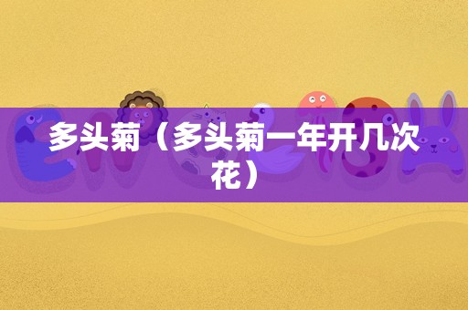 多头菊（多头菊一年开几次花）