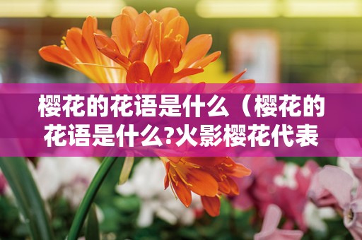 樱花的花语是什么（樱花的花语是什么?火影樱花代表什么意思?）