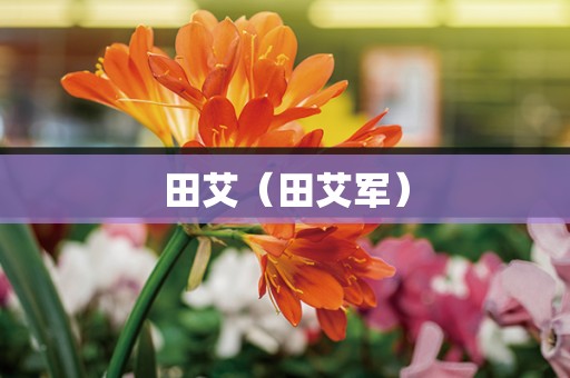 田艾（田艾军）
