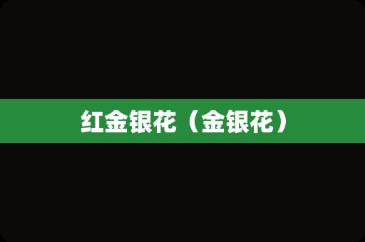 红金银花（金银花）