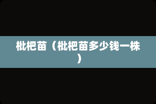 枇杷苗（枇杷苗多少钱一株）