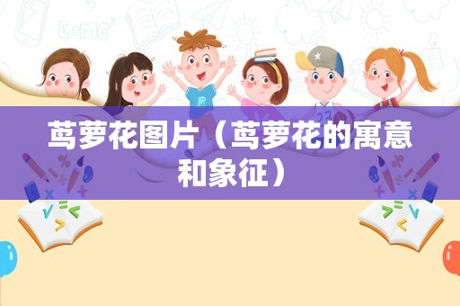 茑萝花图片（茑萝花的寓意和象征）