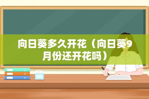 向日葵多久开花（向日葵9月份还开花吗）