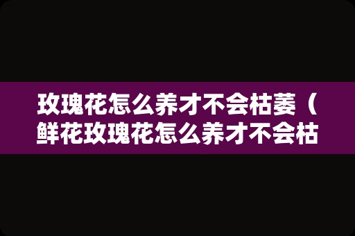玫瑰花怎么养才不会枯萎（鲜花玫瑰花怎么养才不会枯萎）
