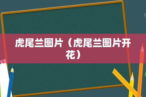 虎尾兰图片（虎尾兰图片开花）