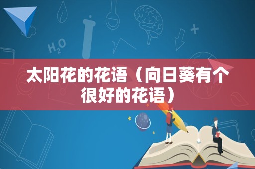太阳花的花语（向日葵有个很好的花语）