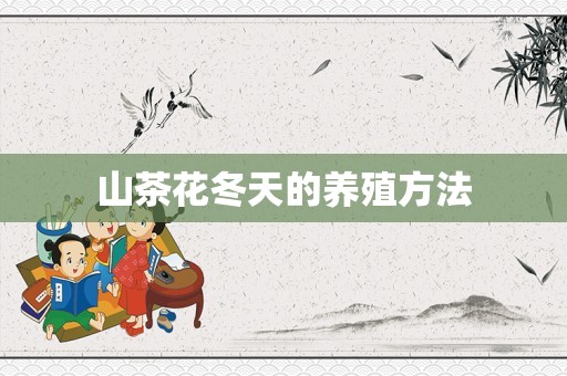 山茶花冬天的养殖方法