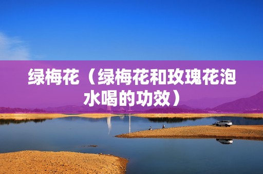 绿梅花（绿梅花和玫瑰花泡水喝的功效）