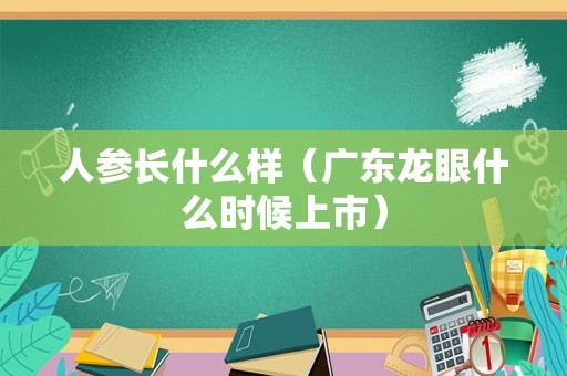 人参长什么样（广东龙眼什么时候上市）