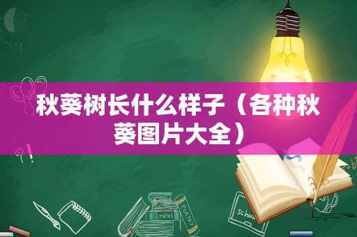 秋葵树长什么样子（各种秋葵图片大全）