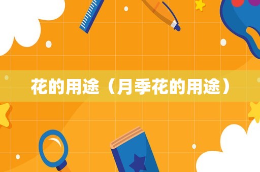 花的用途（月季花的用途）