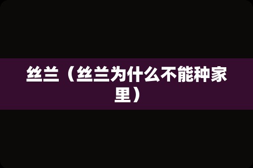 丝兰（丝兰为什么不能种家里）