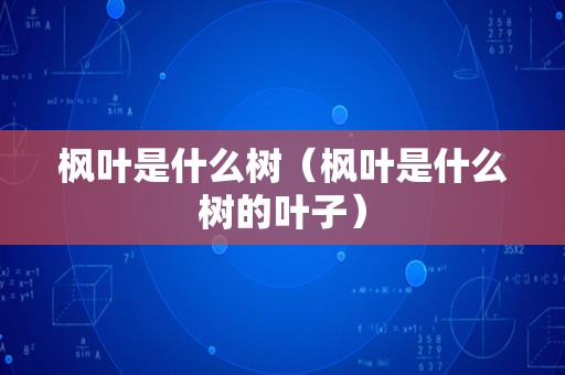 枫叶是什么树（枫叶是什么树的叶子）